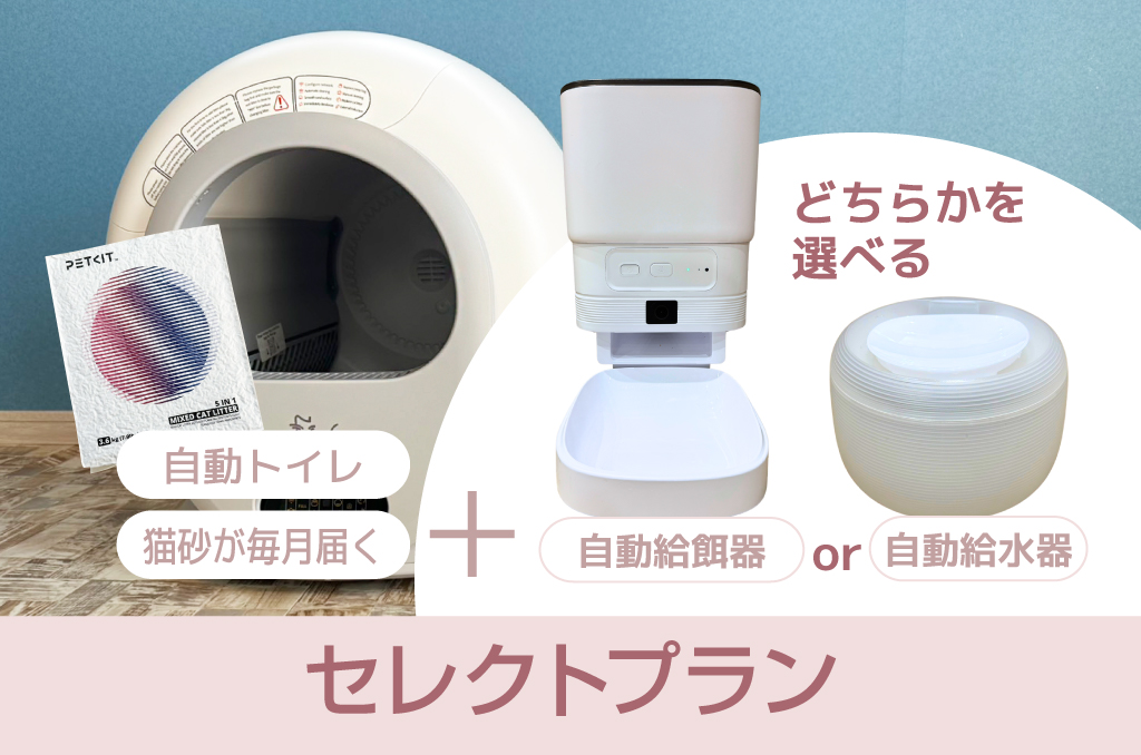 にゃんほっとhomecare